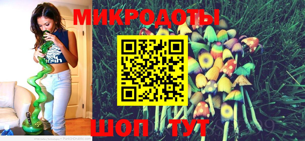 Галлюциногенные грибы Psilocybe Новосибирск