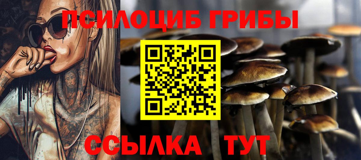 ГАШ  Вход с VPN  Новосибирск  МДМА  Как найти закладки?  NBOMe  Меф МЯУ МЯУ кристаллы  Канабис  КОКАИН 