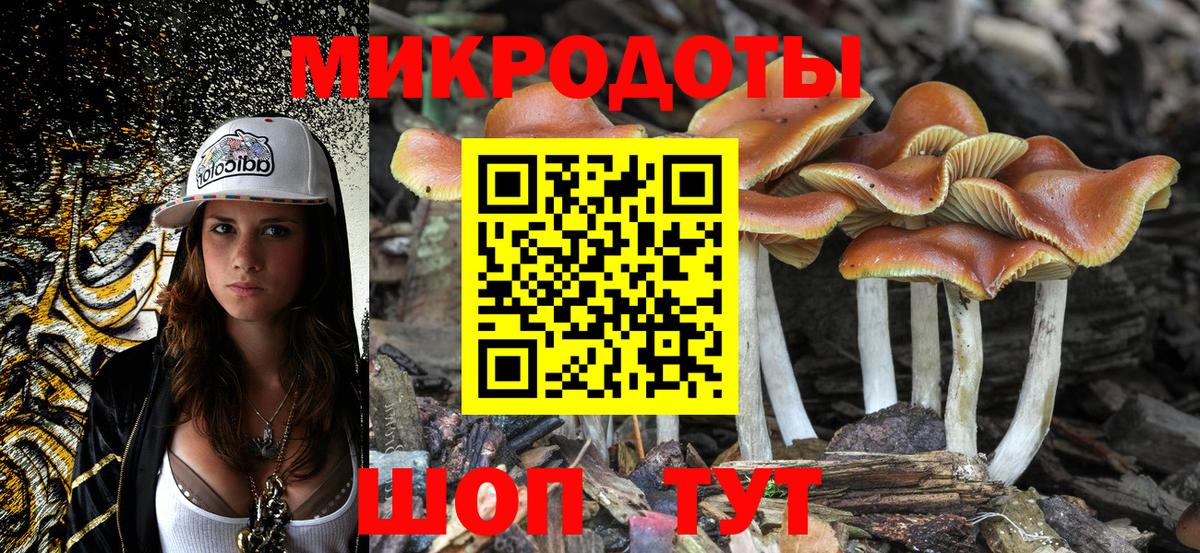 Новосибирск  Псилоцибиновые грибы MAGIC MUSHROOMS  Вход с VPN 